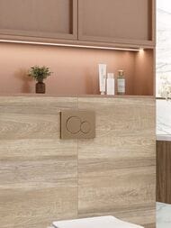 ������ ��������� Alma Ceramica Euphoria (249x500) ���������� TWU2550EPH40 (��.�)
