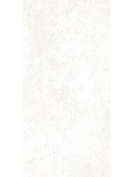 ������ ��������� Alma Ceramica Piemonte (249x500) ����� TWU09PMT004 (��.�)