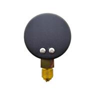 Манометр BWT, 0-10 бар, 1/4", D50мм, бок.подкл. (радиал.) 84655 (323574)