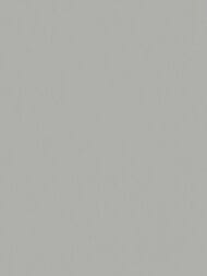 ���� ��������� �� ��������� Wiganford All time Trend Art (1,06�10,05) �����, WG0611 (���.)