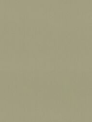 ���� ��������� �� ��������� Rasch Allegretto (0.53x10.05) ���������, �����-������� 692709 (���.)