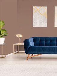 ���� ������������ Hygge 77 Colors C2 07 (1,00�10,05) ���������� (���.)