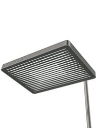 ������� ������� CEZARES LINER-CVD-GM ���������,������� � ������ ���,���������� �����,��������� �����