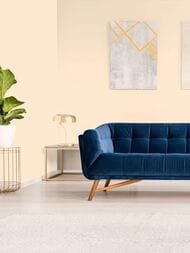 ���� ������������ Hygge 77 Colors C2 01 (1,00�10,05) ������� (���.)