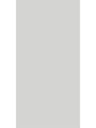 ��������������� ������ Alma Ceramica Spector (600x1200) ����� GFU60120SPR07R (��.�)