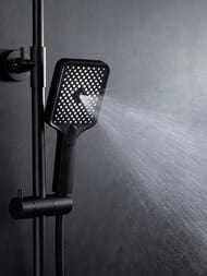 ������� ������� � ���������� �������, ������ � ������� ����� , FRAP ������, F2487-6