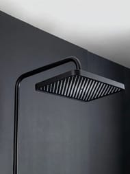 ������� ������� � ���������� �������, ������ � ������� ����� , FRAP ������, F2487-6