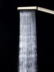 ������� ������� � ���������� �������, ������ � ������� ����� , FRAP ����� �������, F2461-3