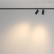 �������� ���������� Maytoni Focus Duo (����� ���) TR176-1-2X5WTW-M-B Basity 3000K/6000K 10�� 36�, IP20, ������