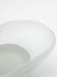 �������� ��������� , FRAP ���� ������, F1902