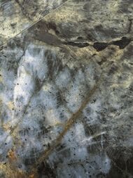 ��������������� ������ ITALON Stellaris Madagascar Dark Lux (1200�2780�6) ������, �����. (��.�.)