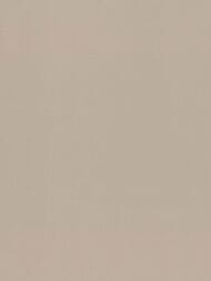     Rasch Novella (1.06x10.05) ,  983524 (.)