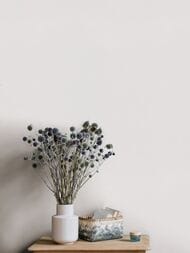 ���� ��������� �� ��������� Erismann Spotlight 2 ER12215-38 (1,06�10,05) ����� (���.)