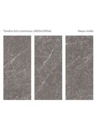 ��������������� ������ StaroSlabs Tundra Gris Luminous Double Polished (2800�1200) ����� (��.)