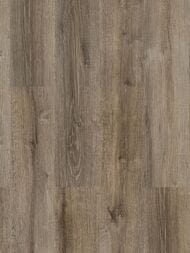  - SPC Alta Step Perfecto (18012185) ., . 34, SPC8803 (.)