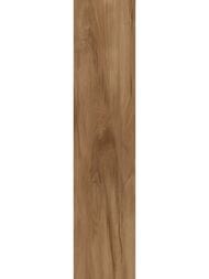 ��������������� ������ Alma Ceramica Ashton (200x900) ���������� GFA92ATN44R (��.�)