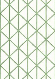 ���� �������� Thibaut Tropics (0,69�8,22) ������� T10138 (�����)