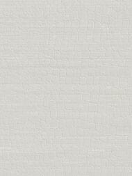 ���� ��������� �� ��������� Armani / Casa Refined Structures 1 (0,7�10,05) �������� 9250 GA2 (�����)))