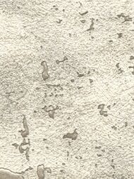     Marburg Natural Opulence 33254 (0,710,05) ,  (.)