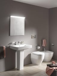 ��������� LAUFEN Frame25 4.4748.1.900.007.1 (650�25�25) ��������������, ������� ����