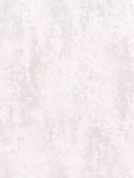 ���� ��������� �� ��������� Prima Italiana Volare (1,06�10) �������, �������� 80445 (���.)