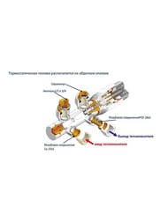 ������! SCHLOSSER ���� ����������� DUO-PLEX 3/4x�22x1,5 ���������, �����, ������� 1/2x3/4, 602100031
