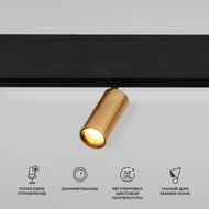 ��������� �������� ���������� Elektrostandard Slim Magnetic Dim Cantors 5W 2700-6500K a063531, ������
