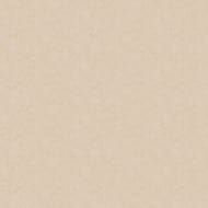   Artsimple Holidays (1,0010,05) , . ARTS13 003  (.)