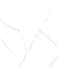 ��������������� ������ Alma Ceramica Carrara (600x600) ����� GFU04CRR00R (��.�)