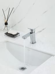 ��������� ��� �������� , FRAP ����, F1084