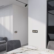 ����� ��������� ����������� ������������� Werkel W4523011