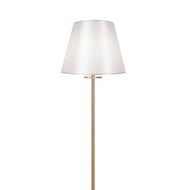 ��������� ���������� Freya Forte (���� �����) FR1006FL-01G,  IP 20, �����