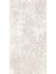 ������ ��������� Alma Ceramica Piemonte (249x500) ����� TWU09PMT404 (��.�)