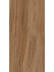   Lasselsberger  (300600)  , ,6260-0196-1001 (..)