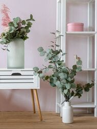     Marburg Structure (1,0610,05) ,  30038  (.)