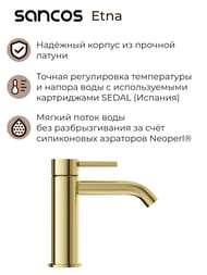 ��������� SANCOS Etna SC9001BG ��� ��������, ������������, ������������� ������, PVD ��������