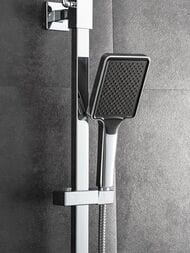 ������� ������� � ���������� �������-��������������, ������ � ������� ����� , FRAP ����, F2484