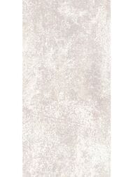 ������ ��������� Alma Ceramica Piemonte (249x500) ����� TWU09PMT404 (��.�)