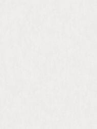 ���� ��������� �� ��������� Wall Up Bright Whisper (1.06x10.05) ���������, ������� W190013 (���.)