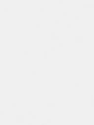 ���� ��������� �� ��������� Grandeco Artist (1,06�10,05) ���������, ����� R154033 (���.)