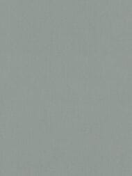     Marburg Dune 42020 (0,5310,05)  (.)