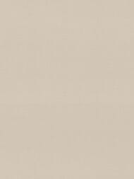 ���� ��������� �� ��������� Rasch Allegretto (0.53x10.05) ���������, ������� 692716 (���.)