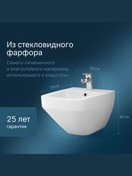 Биде подвесное AM.PM Inspire 2.0 (390х550х400) белое C50A3411WH