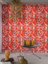     Rasch Amazing (0,5310,05) ,  539844 (.)