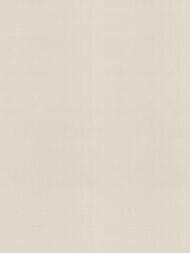 ���� ����������� Armani / Casa Precious Fibers 1 (0,87�1,00) ���������, ������� 9090 GA1 (���.�.)