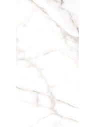 ������ ��������� Alma Ceramica Grigio (249x500) ����� TWU09GRG007 (��.�)