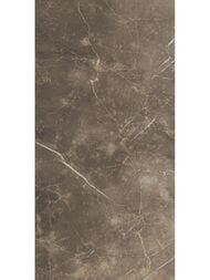��������������� ������ ColiseumGres Portofino Grigio (450�900)  (��.�.) ����� 1080269