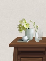     Erismann Gentle ER12207-39 (1,0610,05)  (.)