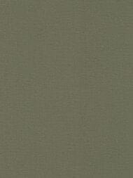 ���� ��������� �� ��������� Rasch Natural Colors (0,53�10,05) �����, ��� ����� 555943 (���.)