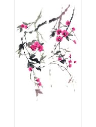 ����� Marburg Crush Motion 63446 (1,40�2,70) �����, ����� (���.)